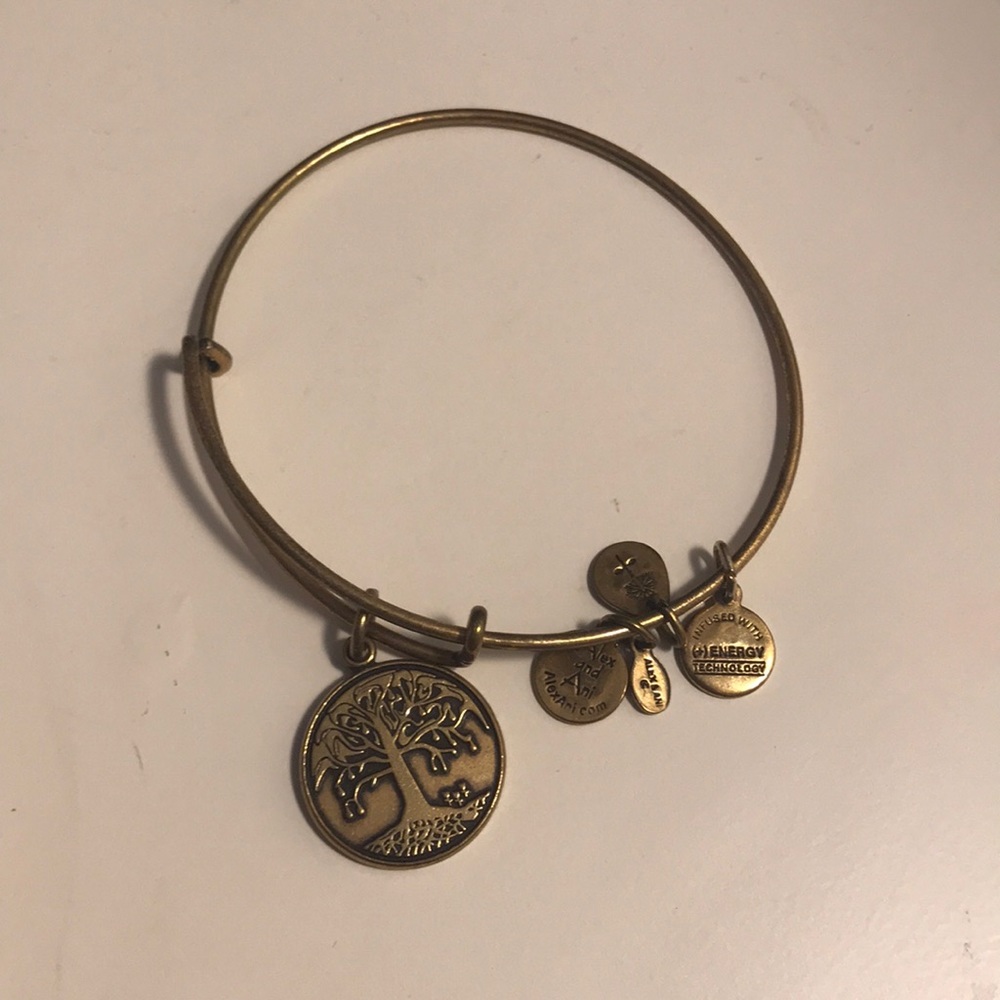 Alex and Ani Energy Bracelet